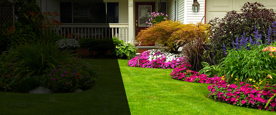 Sorrento Landscapers