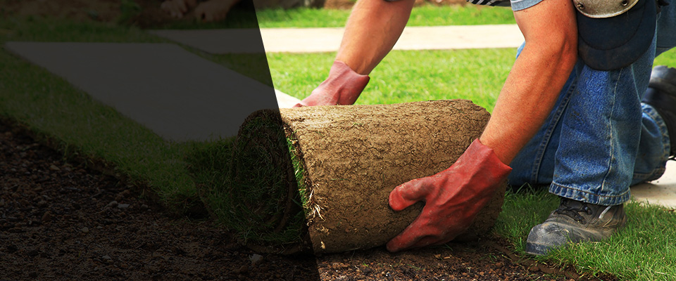 Sorrento Landscapers